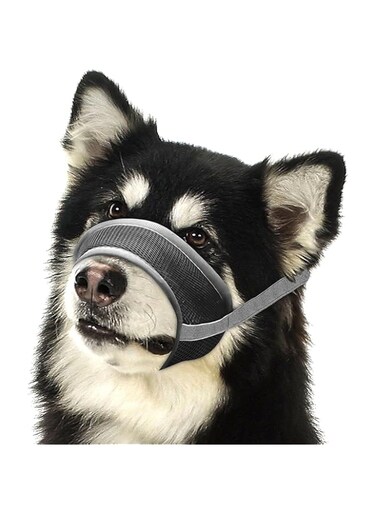 Jemey Dog Muzzle, Breathable Mesh Nylon Pet Muzzle Prevent for Dogs Biting Barking and Chewing Control, Adjustable Loop Dog Muzzle Soft Pad Dog Training Muzzle for Small, Medium and Large Dogs
