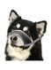 Jemey Dog Muzzle, Breathable Mesh Nylon Pet Muzzle Prevent for Dogs Biting Barking and Chewing Control, Adjustable Loop Dog Muzzle Soft Pad Dog Training Muzzle for Small, Medium and Large Dogs