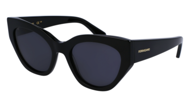 Salvatore Ferragamo Oval SF1107S Women's Sunglasses
