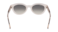 Lacoste Oval-Style Sunglasses