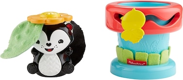 Fisher Price Dfp91 Peek 'N Play Flower Pot Toy