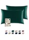 Satin Pillowcase for Hair and Skin, Super Soft and Cooling Similar to Silk Pillow Cases 2 Pack with Envelope Closure, Gift for Women Men(20"x26" Standard Size) (Green)