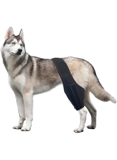 Dog Knee Brace Leg Braces - Dog Canine Knee Stifle Brace Wrap Dog Knee Brace for Torn ACL Hind Leg Joint Pain Muscle Sore Pet Brace Reduces Pain and Inflammation (M)