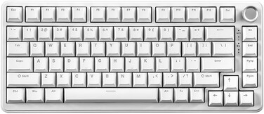 YUNZII B75 Mechanical Keyboard,75% Hot Swappable Keyboard with Knob,RGB Backlit Gasket Gaming Keyboard with Double-Shot PBT Keycaps,Cherry Profile,WIN/MAC (White, Milk V2 Linear Switch)