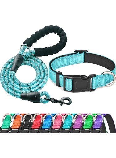 Ladoogo Reflective Collar Padded with Soft Neoprene Breathable Adjustable Nylon Collars for Small Medium Large Dogs (Collar+Leash M Neck 16"-19", Blue)