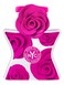 Bond No.9 New York Central Park South For Women Eau De Parfum 100ml