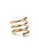 Ring Napkin Holder Silver