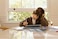 Microsoft Surface Go Type Cover &ndash; Black (English Keyboard) (International Version)