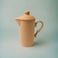 ARK Naturals Terrapura Pure Clay Handmade Organic Pitcher set with 6 Glass Tumblers and a Tray. Glass 260 ml x 6, Pitcher 900 ml