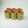 ARK Naturals Terrapura Pure Clay Handmade Hand Painted Clay Glasses Set of 6 Pieces. Each Glass 300 ml x 6 Pieces