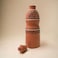 ARK Naturals DhaaroVibes Handmade Hand Painted Rustic Charm Clay Water Bottles 1100 ml. Organic