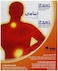 TML Itami Medicated Plasters 10 Cm X 14 Cm 10's