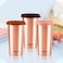 MILTON Copper Tumbler with Lid, 480ml, 100% Pure Copper, BPA Free Water Tumbler, Leak Proof, Office Tumbler, Boosts Immunity, Supports Digestive &amp; Liver Health, Ayurveda Inspired