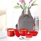 MILTON 8-Piece Lunch Box Set with Insulated Bag &amp; Cutlery - Includes 3 Microwave Safe Inner Steel Food Containers (180ml, 320ml, 450ml), 100ml Plastic Box, 750ml Bottle, Office Tiffin- Savor - Red