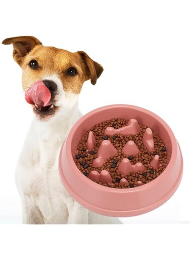 Minta Slow Feeder Small Dog Bowls, Slow Food Feeding Pet Bowl, Non Slip Puzzle Bowl, Anti Gulping, Healthy Design, Sturdy and Durable, Can Be Used for Small Medium Size Dogs and Cats