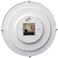 Ajanta 11 Inches Wall Clock for Home/Offces/Bedroom/Living Room/Kitchen (Step Movement, White)