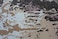 Ramsha Handmade Living Room Multi Color 200x300cm Hand Tufted Rug - HTW 53