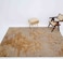 Machine Made Ramsha Indian Rug Multi Color 200x300cm Machine Made Rug - CMN-21