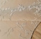 Handmade Ramsha 200X300cm Indoor Off White Handmade Area Rug HTWV 118