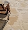 Ramsha Handmade Living Room 200x300 CM Shape Natural White Color Handmade Area Rug - HTWV-129