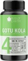 Bliss Of Earth Gotu Kola Tablets 500mg - High Potency Gotu Kola Extract Powder, Quick Release Supplement For Brain &amp; Wellness Support, 120 Tablets