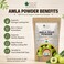 Bliss of Earth Amla Powder Hair Mask, 453g -  Shiny &amp; Smoothing Herbal Hair Treatment Powder