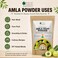 Bliss of Earth Amla Powder Hair Mask, 453g -  Shiny &amp; Smoothing Herbal Hair Treatment Powder