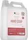 Bliss Of Earth Antebacterial Hand Wash Refill Liquid, Pearl Mist Pearlescent Hand Soap 5 Liter, Non Drying Moisturizing Formula, Aromatic Fragrance, Perfect For Home, Office, Hotel &amp; Cafe.