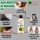 Bliss of Earth Mustard Body Oil, 100ml - Travel Size Warming Massage, Scalp &amp; Hair Care Oil