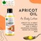 Bliss Of Earth Cold Pressed Organic Apricot Oil For Skin, Unrefined &amp; Pure Apricot Oil For Hair Growth, Wildcrafted Himalayan Apricot Oil For Nails, Face, Body, Massage &amp; Deep Hydration - 100ml