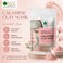 Bliss of Earth Calamine Clay Powder, Shine Control Mask, 100g - Face Mask Skin Care Clay
