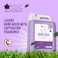 Bliss Of Earth Antebacterial Hand Wash Refill Liquid, Refreshing Lavish Lavender Hand Soap 5 Liter, Non Drying Moisturizing Formula, Aromatic Fragrance, Perfect For Home, Office, Hotel &amp; Cafe.