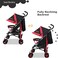 Cars Lightning McQueen Adventure Stroller B818B-L CRA
