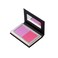 Character Pair Perfect 2 Color&nbsp;Blush
