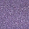 Character Chromatic Sparkling Eyeshadow&nbsp;Powder