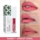 Ayurvedic Creamy Matte Long Lasting Liquid Lipstick - Apricot Coral 2ml