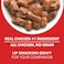 Drools Puppy Wet Dog Food, Chicken &amp; Chicken Liver Chunks Gravy, Pack Of 15 (2.25 Kg)   100% Balanced Diet With Real Chicken, Omega 3 &amp; 6 For Healthy Skin &amp; Coat, Promotes Hydration &amp; Easy Digestion
