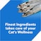 Drools Dry Adult Cat Food Ocean fish 7kg with 5kg Drools Cat Litter Free   100% Nutritious Diet With Real Fish
