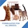 Drools Dry Adult Cat Food Ocean fish 7kg with 5kg Drools Cat Litter Free   100% Nutritious Diet With Real Fish
