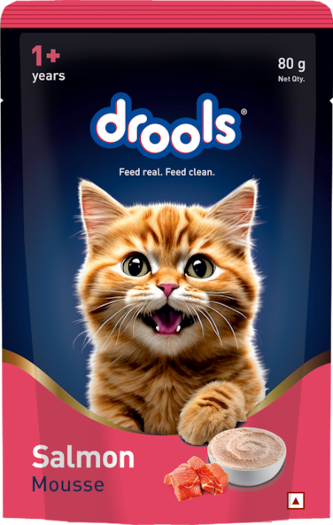 Drools Salmon Mousse Cat Wet Food 80gm