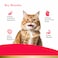 PurePet Peak Cat Chicken Dry Food 1.2kg
