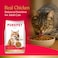 PurePet Peak Cat Chicken Dry Food 1.2kg