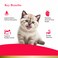 PurePet Peak Kitten Chicken Dry Food 1.2kg