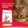 PurePet Peak Kitten Chicken Dry Food 1.2kg