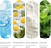 Be Bodywise Salicylic Acid Body Wash Shower Gel, For Body Acne, Strawberry Skin, Infused with1% Salicylic Acid, Camomile extract, Pentavitin, Non-Drying, Paraben Free, All Skin Types, 250 ml