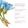 Be Bodywise Magnesium Gummy