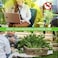 BananaHome Mosquito Repellent Citronella Incense Sticks with Holder,Natural Plant Ingredients Citronella-Oil Lemongrass Rosemary Oil,DEET Free Repellent Outdoor (120pcs (Incense Sticks))