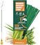 BananaHome Mosquito Repellent Citronella Incense Sticks with Holder,Natural Plant Ingredients Citronella-Oil Lemongrass Rosemary Oil,DEET Free Repellent Outdoor (120pcs (Incense Sticks))