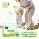 Mother Sparsh 100% All Natural Mosquito Repellent Patches for Babies with 12Hr. Protection, with Citronella, Lemongrass &amp; Eucalyptus Oil Protects From Dengue, Malaria, Chikunguniya (24 Patches)