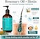 Rosemary &amp; Keratin Shampoo for Hair Growth &amp; Strengthening &ndash; Sulfate &amp; Paraben Free, Volumizing &amp; Scalp Balancing, Clinically Inspired Care   Made in UAE   300 ml